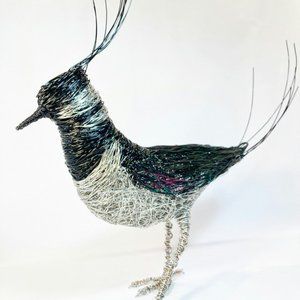 Lapwing Wire Bird Sculpture